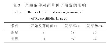 ��2 ���՗l������ݷN���Ȱl��Ӱ�