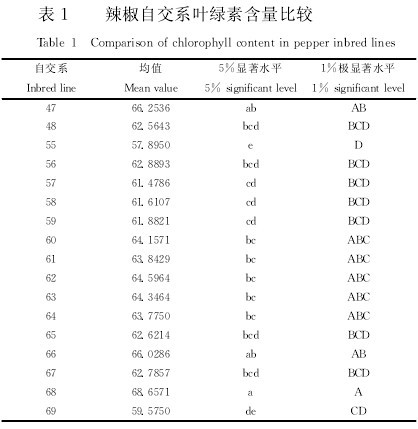 表1 辣椒自交系葉綠素含量比較